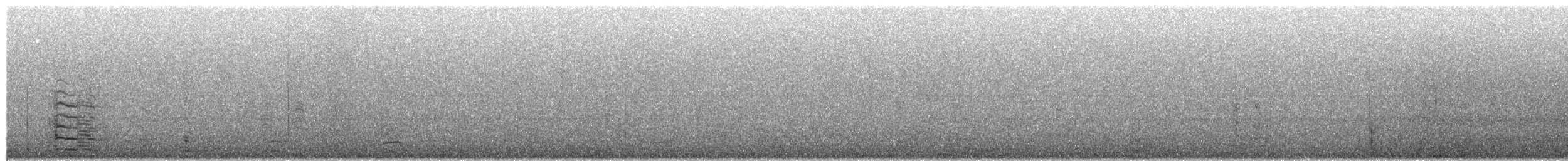 Greater White-fronted Goose - ML650399741