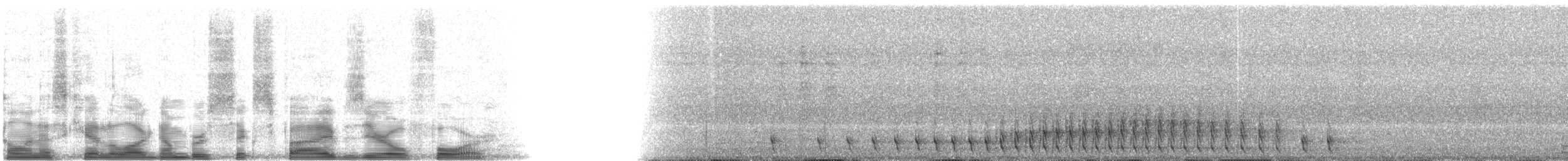 trogon černohlavý - ML6504