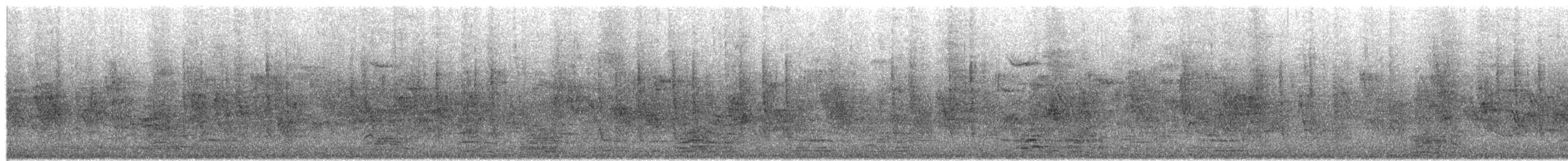 Greater White-fronted Goose - ML650401182