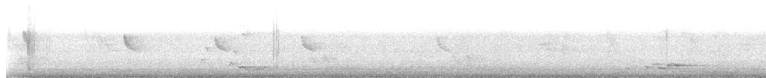 Black-naped Oriole - ML65040271