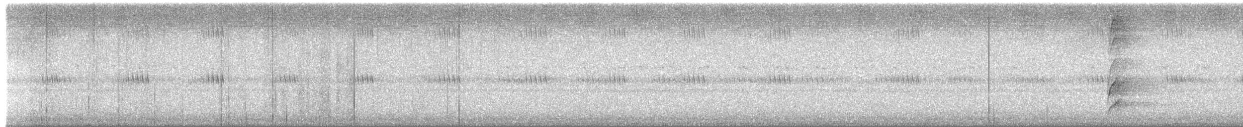 Baumhöhlenschwalm - ML650405512