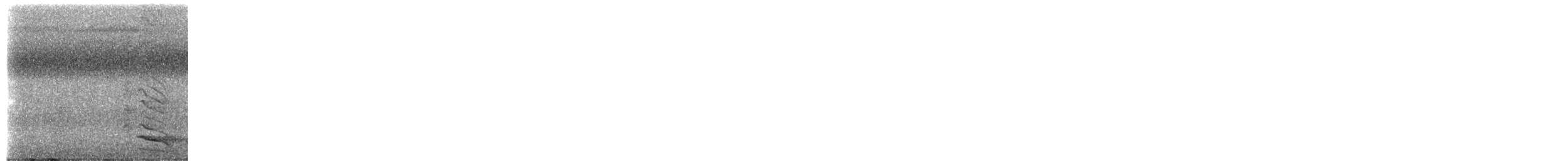 Шлемоклювый кожеголов (yorki) - ML650409873