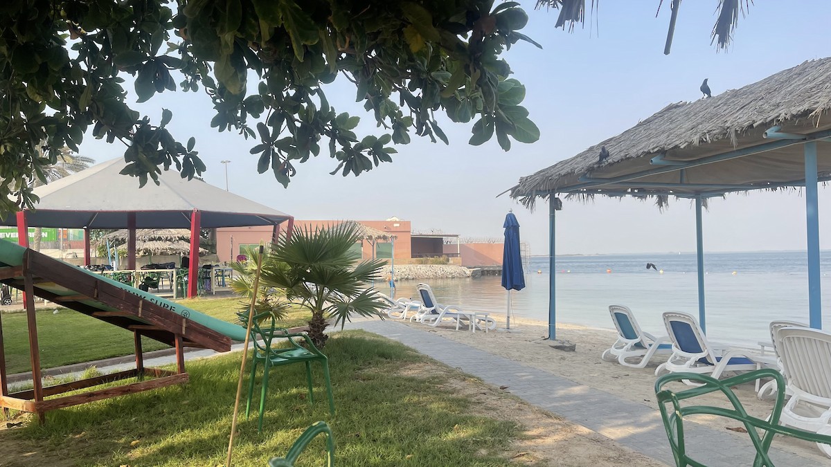 House Crow - ML650416077