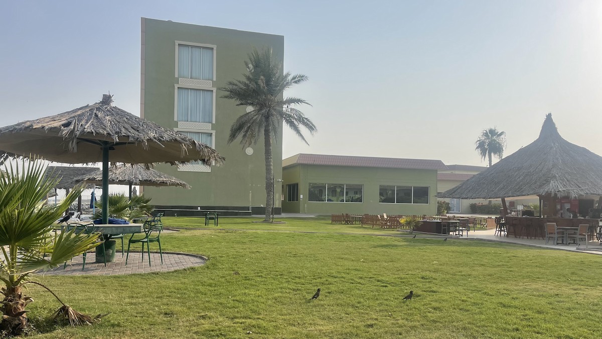 Common Myna - ML650416081