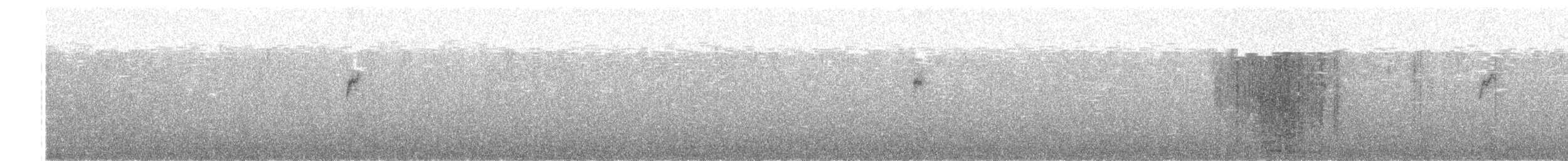 Water Pipit - ML650416983