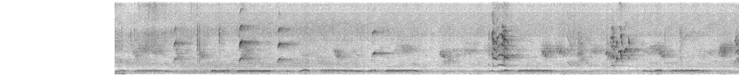 Spotted Dove - ML650417140