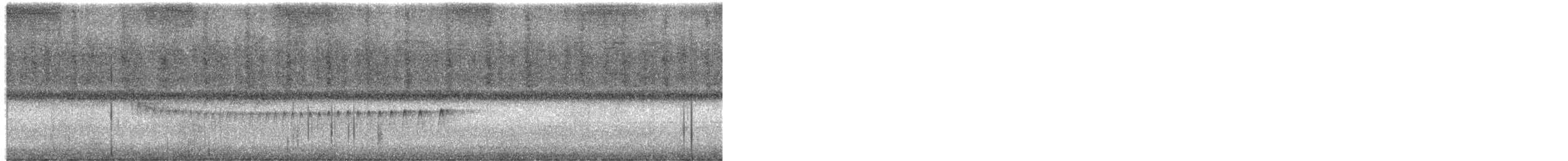 Lesser Woodcreeper - ML650417605