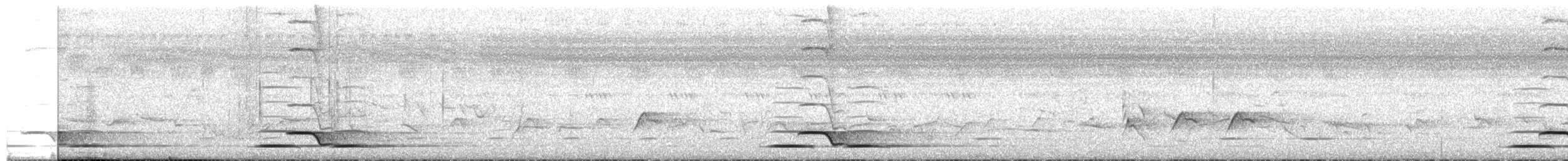 Zanzibar Boubou - ML650417770