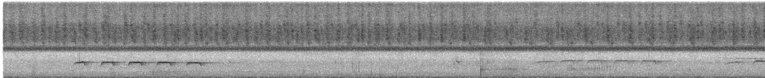 White-shouldered Fire-eye - ML650417918