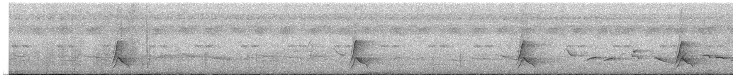 Кубла строката - ML650418535