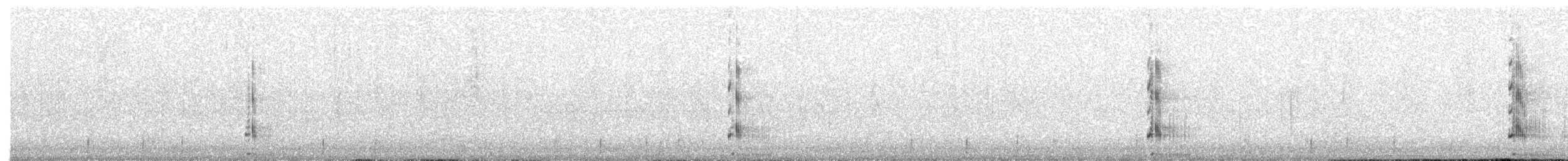 Australasian Swamphen - ML650418763