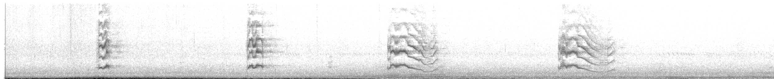 Australasian Swamphen - ML650418766