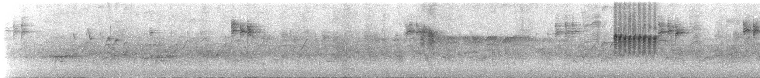 Chestnut-bellied Tit - ML650419965