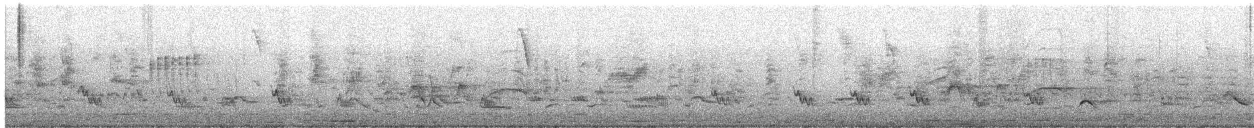 Creamy-bellied Thrush - ML650426525