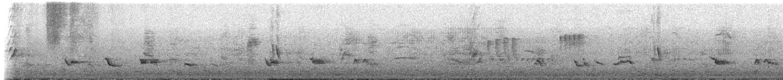 Creamy-bellied Thrush - ML650426526