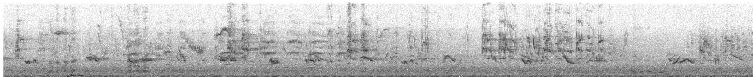 Creamy-bellied Thrush - ML650426527