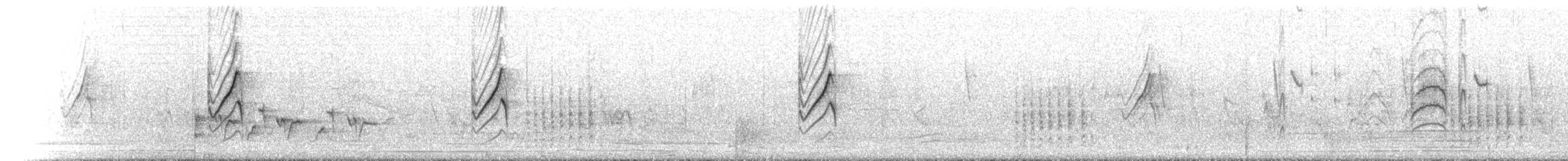 Pygmy Sunbird - ML650426536