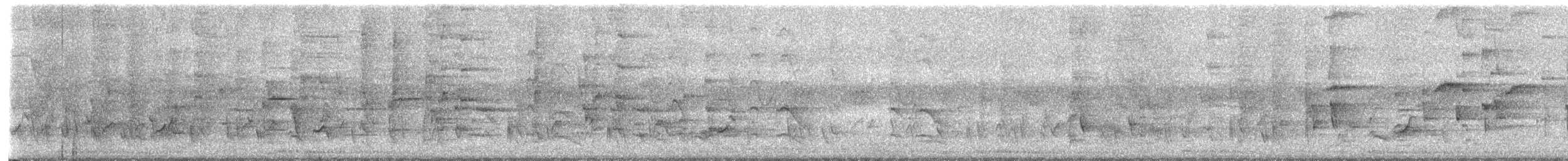 מוניה מפוספסת-חזה - ML650426720