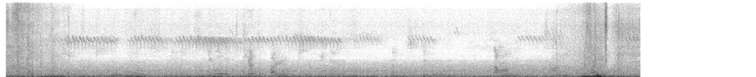 ציצנית - ML650427041