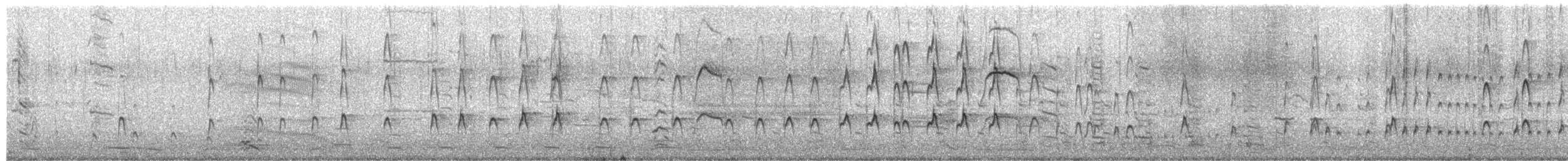 שלצדף החוף - ML650427189