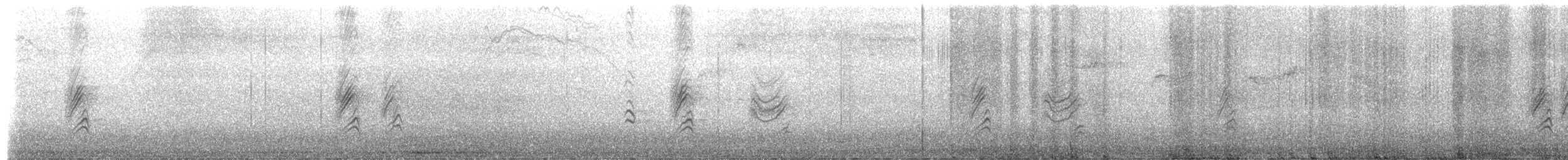 House Finch - ML650427529