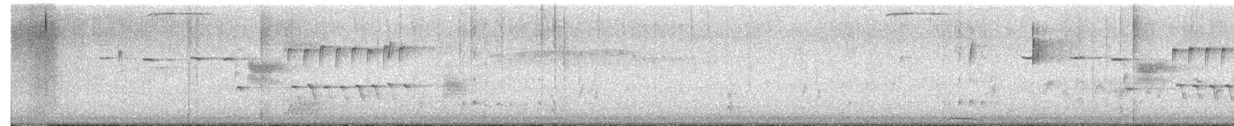 תורית אמריקנית - ML650427959