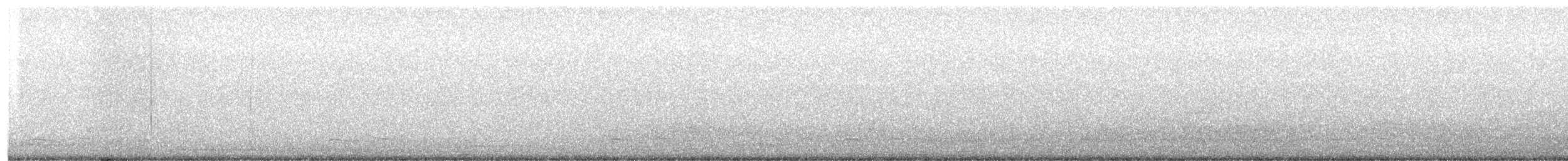 Common Poorwill - ML650431191