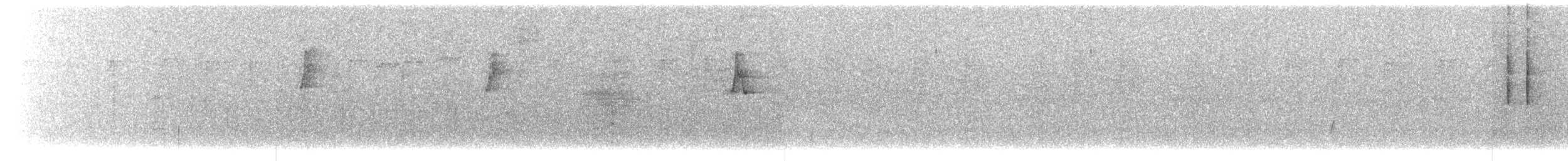 עלווית לבנת-גבות - ML650431996