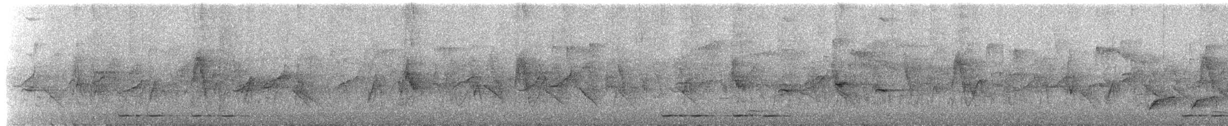 Taiwan Scimitar-Babbler - ML650432019