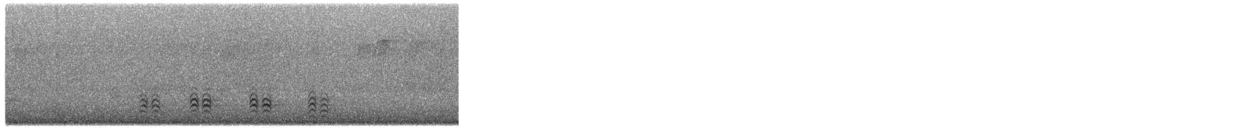 Каролинский поползень - ML650433215