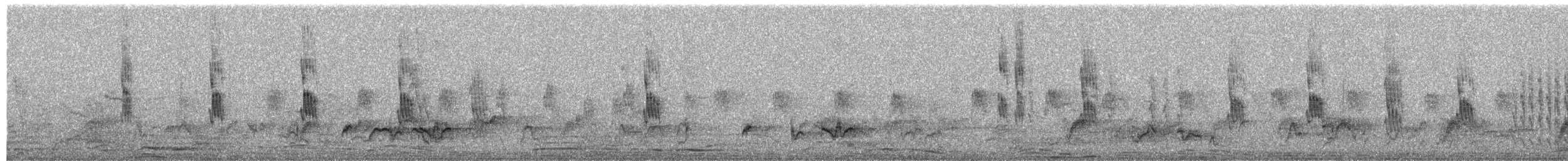 Capucin nonnette - ML650434274