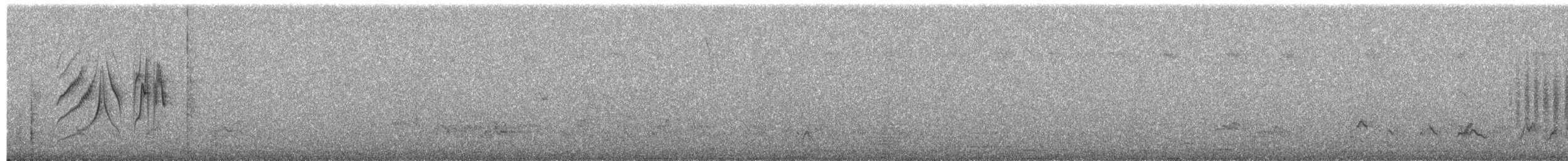 Combassou noir - ML650434315