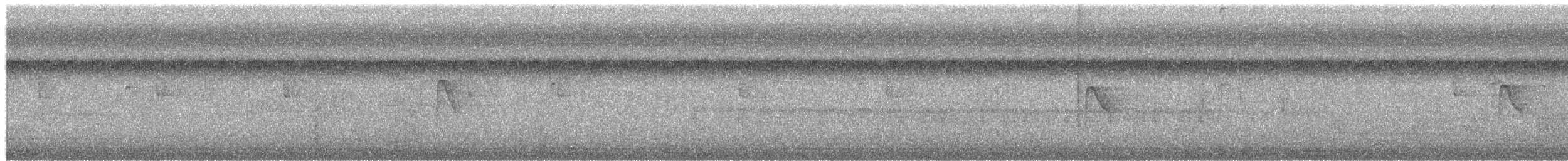 חטפית צהובת-גחון - ML650435103