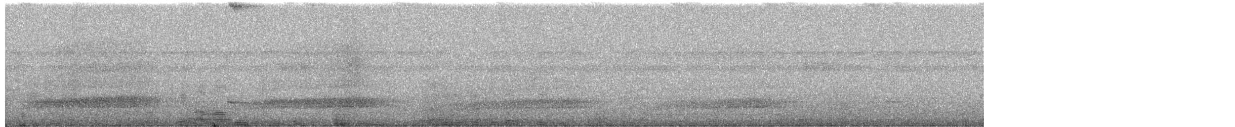 Effraie des clochers (poensis) - ML650437682