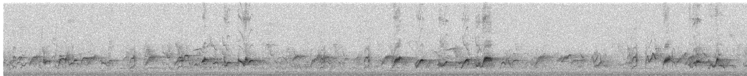 Bulbul des jardins (groupe tricolor) - ML650437711