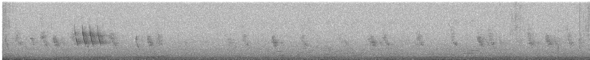 Bergeronnette pie - ML650437751