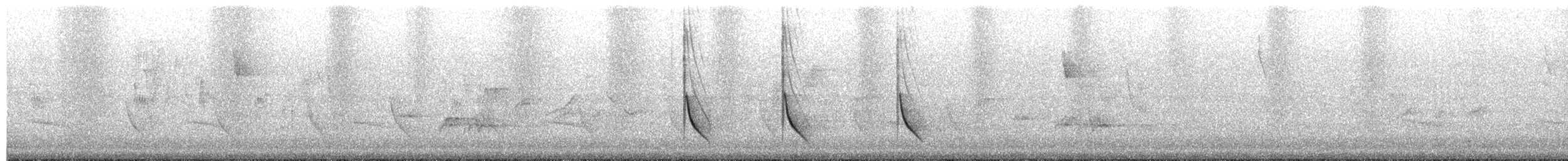 Кубла строката - ML650442413