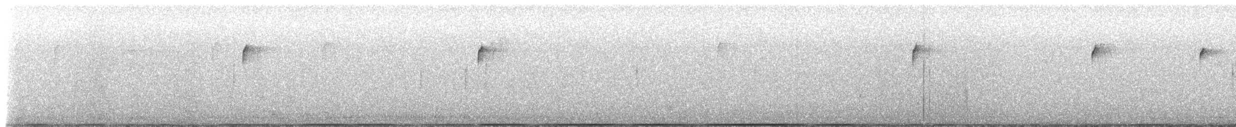 American Herring Gull - ML650444575