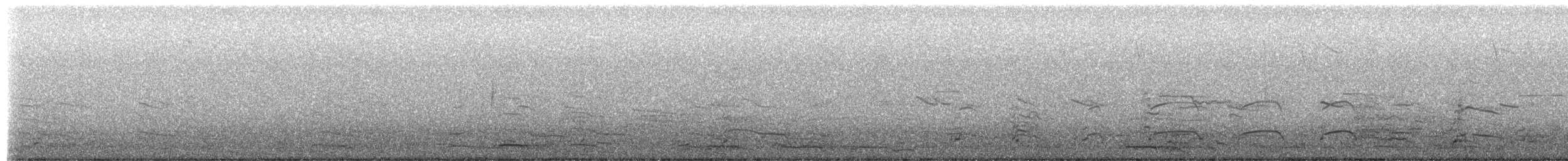 Ring-billed Gull - ML650444646