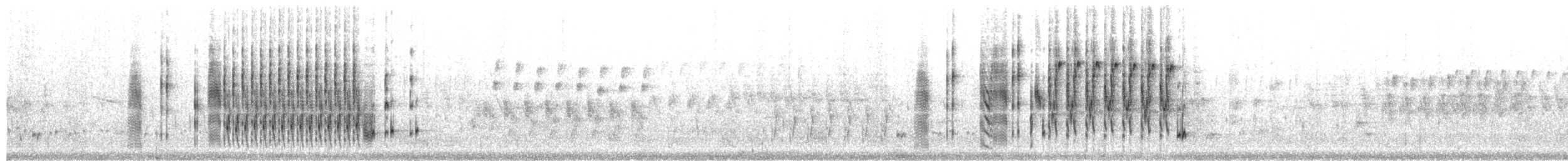 Marsh Wren - ML650446937