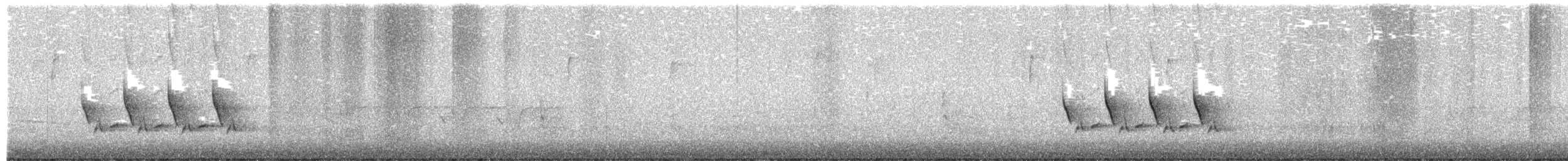 Carbonero de Carolina - ML650453505