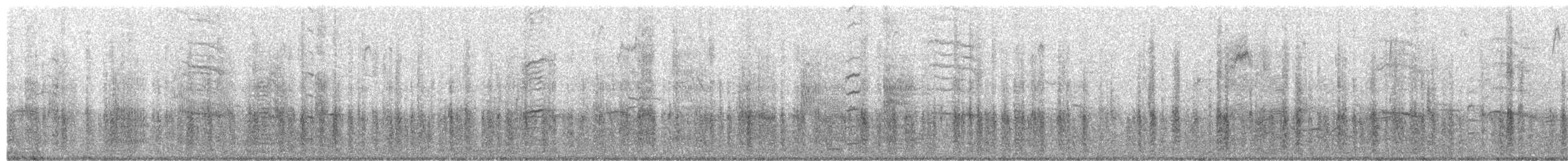 Common Grackle - ML650459566