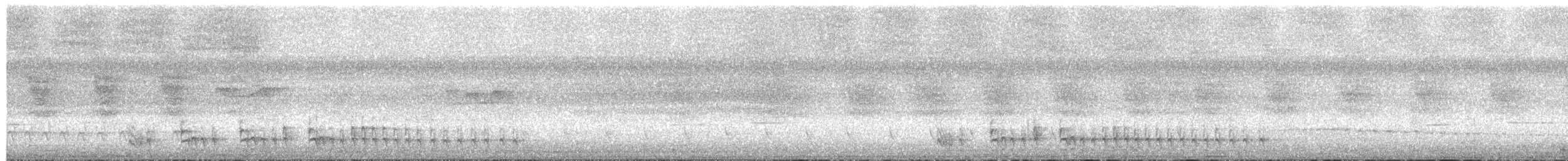 Bananal Antbird - ML650465985