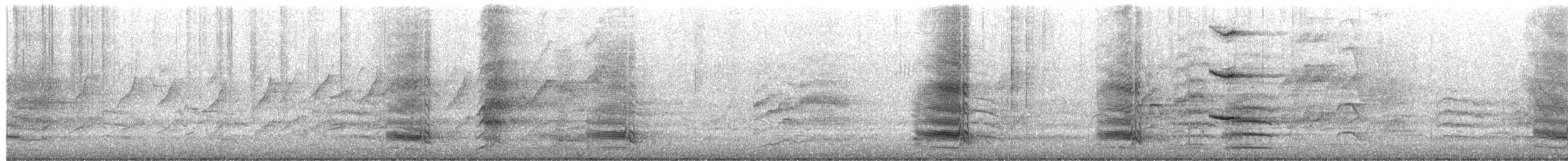 Australian Magpie (Western) - ML650471720