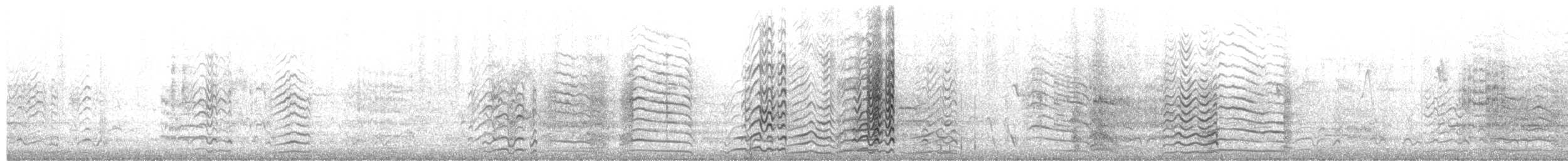 Little Corella - ML650471757