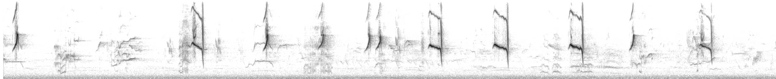 New Holland Honeyeater - ML650471762