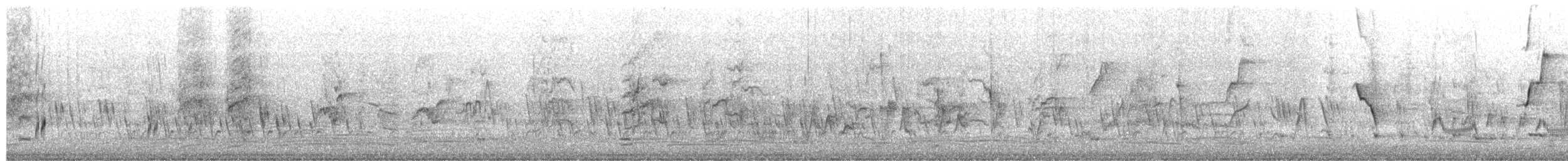 彩虹蜂虎 - ML650471771