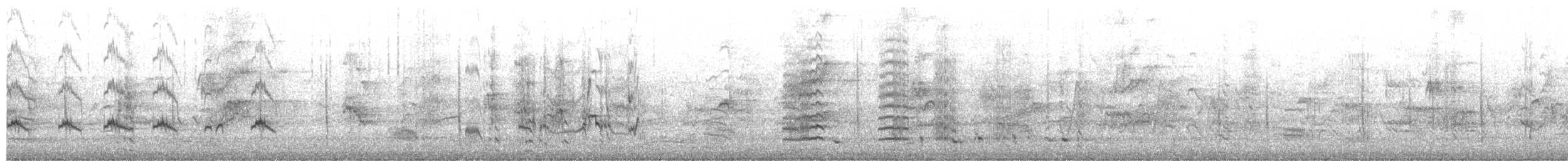 彩虹蜂虎 - ML650471774