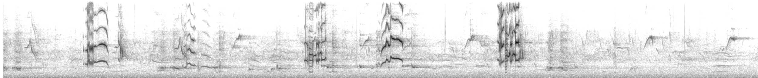 彩虹吸蜜鸚鵡 - ML650471778