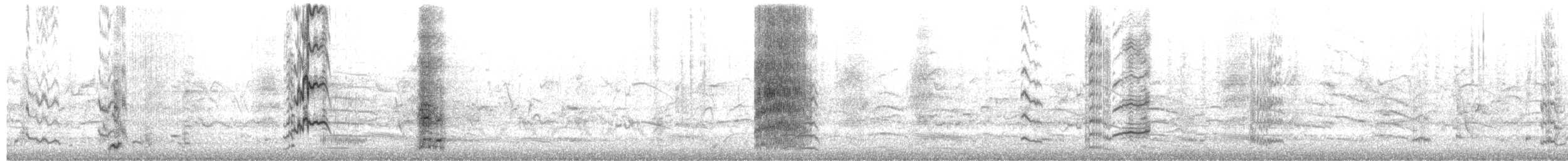 彩虹吸蜜鸚鵡 - ML650471779